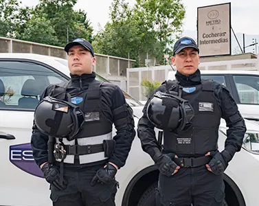 Guardias Tácticos